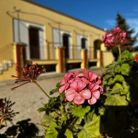 Agriturismo Il Trappeto Gallipoli Exterior foto